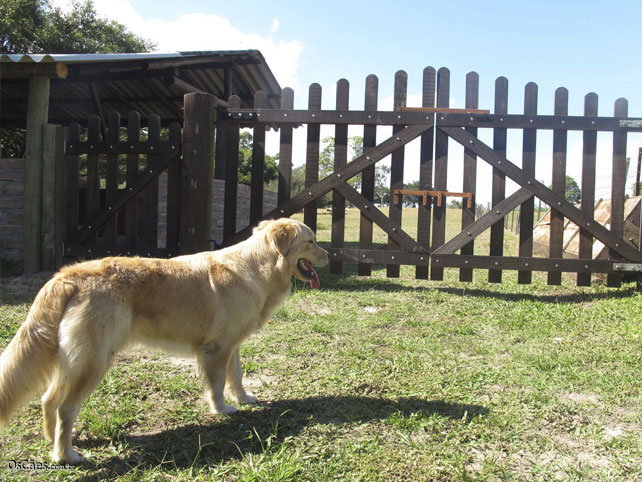 Na Fazenda